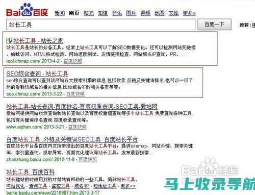 站长必备神器：使用域名查询工具提升网站管理效率