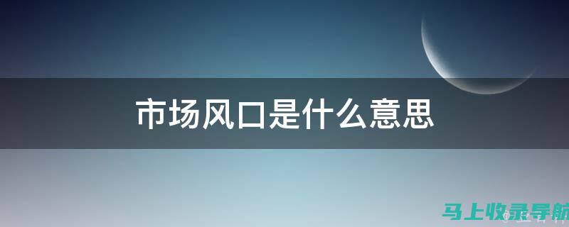 时代风口与个人站长暴富神话的崛起与破灭