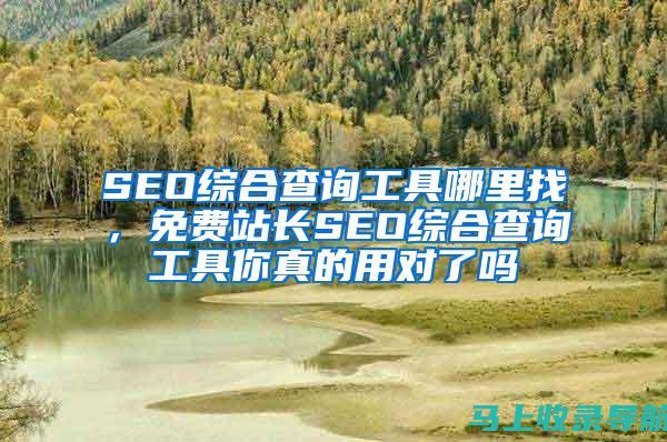 SEO综合查询全解析：提升网站流量的五大策略